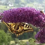 Grappa بيت للعطل بارثولومابيرغ