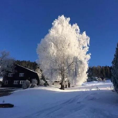 בית נופש Grappa בארטהולומאברג