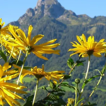 Grappa * בארטהולומאברג