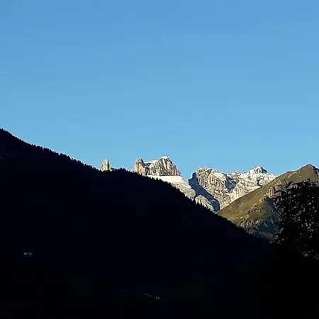 Grappa *