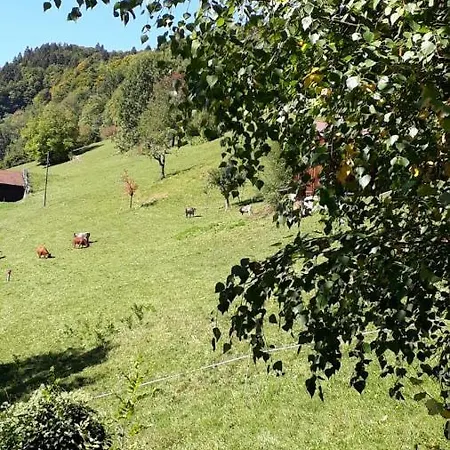 Grappa בארטהולומאברג