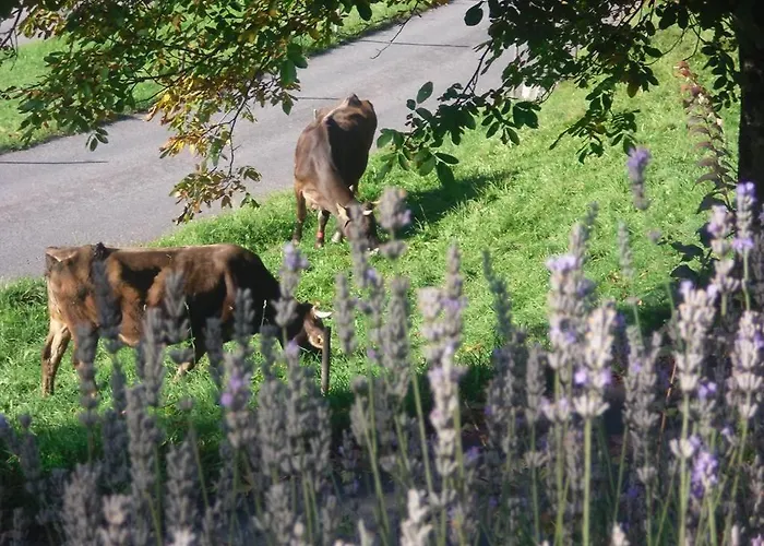 Grappa * Bartholomaeberg